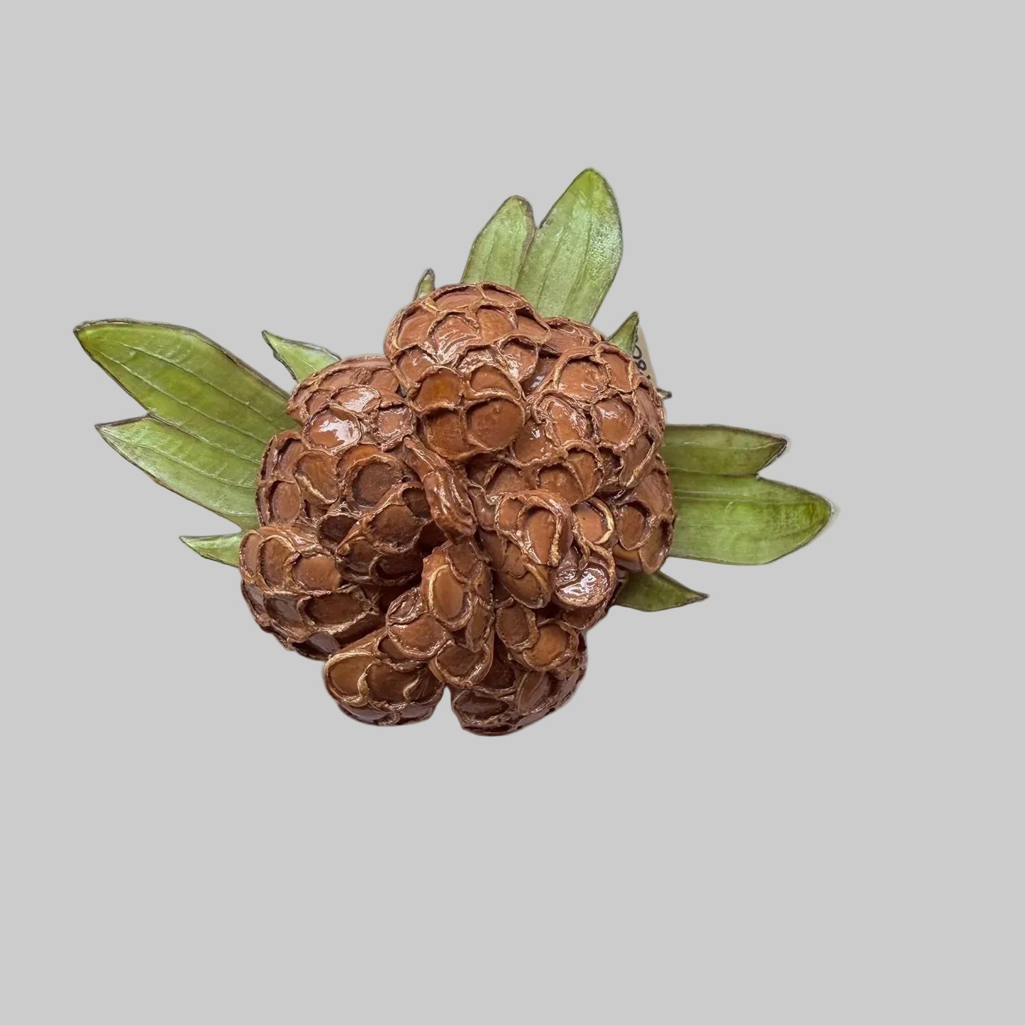 Broche de diseño artesanal en resina – Motivo vegetal exclusivo